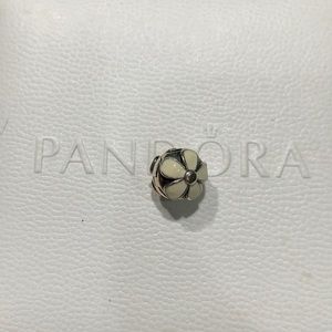 Pandora charm